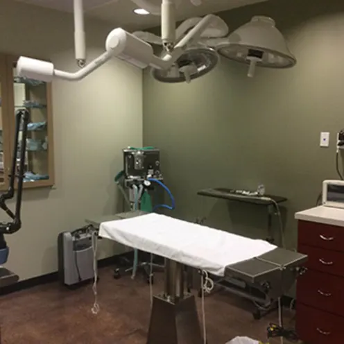 Foxtail Pines Veterinary Hospital Surgery Room